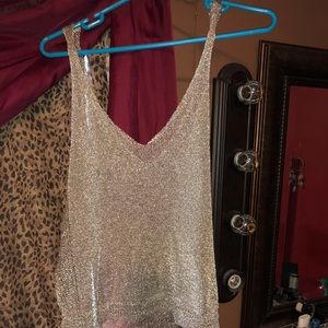 beautiful shiny tank